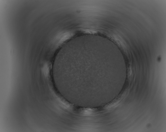 X0000094810229200711241453