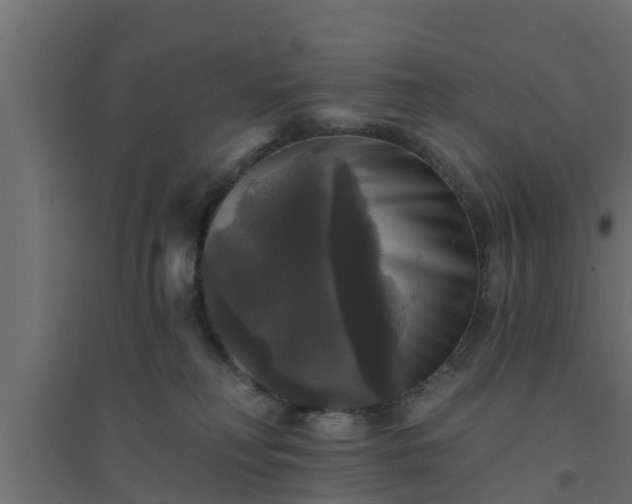 X0000094810230200711241453