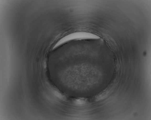 X0000094810232200711241453