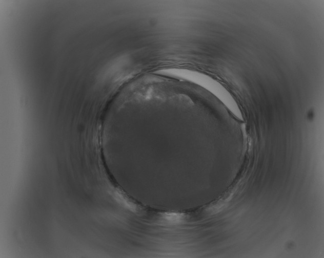 X0000094810233200711241453