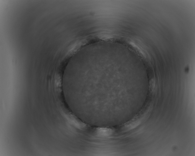 X0000094810234200711241453