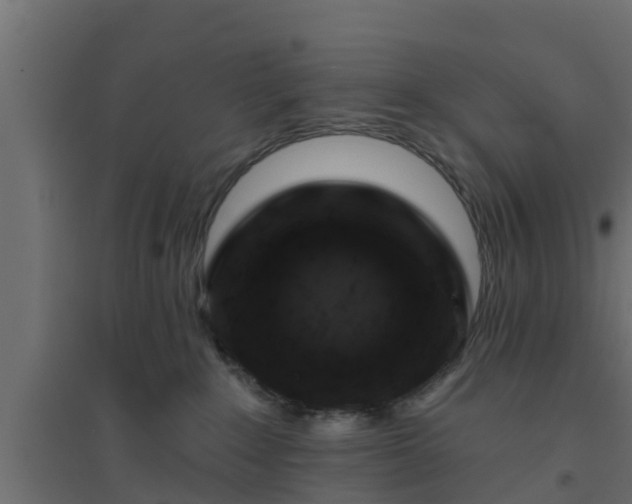 X0000094810235200711241453