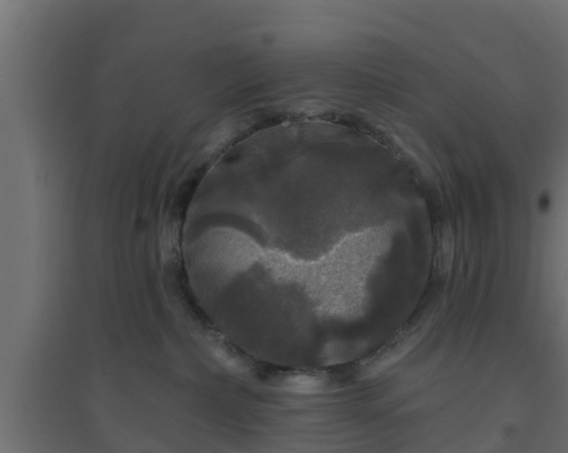 X0000094810236200711241453