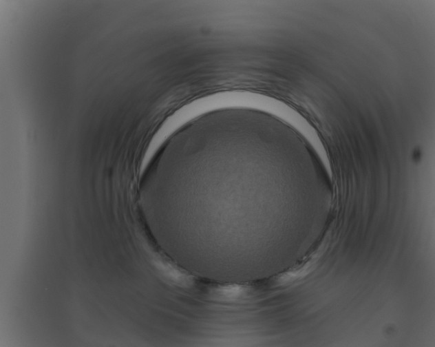 X0000094810237200711241453