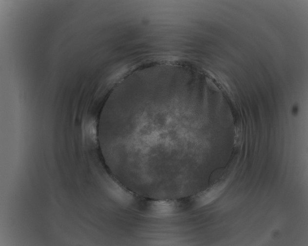 X0000094810238200711241453