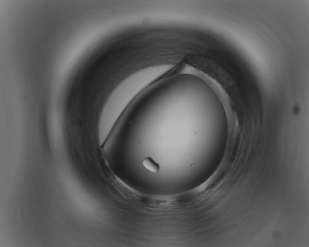 X0000094810239200711241453