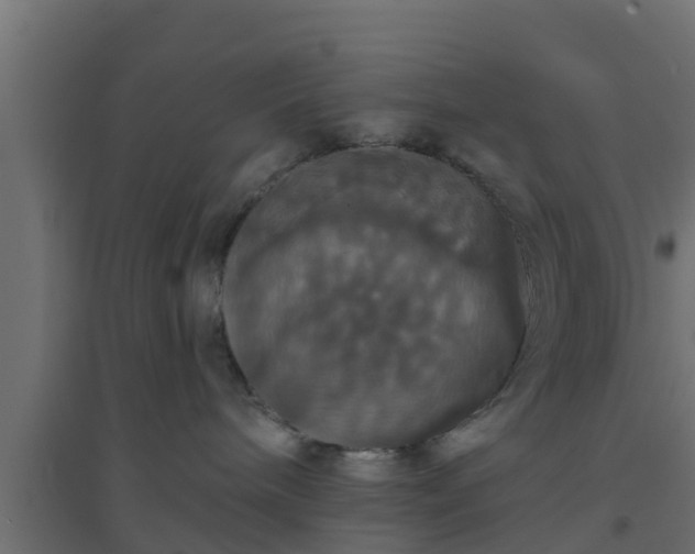 X0000094810240200711241453