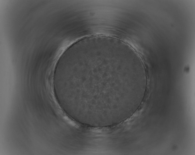 X0000094810241200711241452