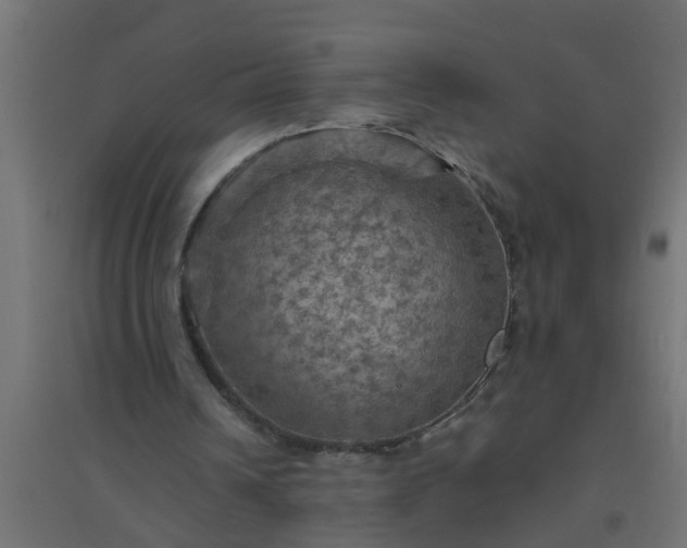 X0000094810242200711241452