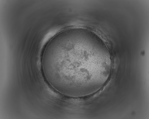 X0000094810245200711241452