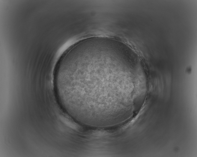 X0000094810246200711241452