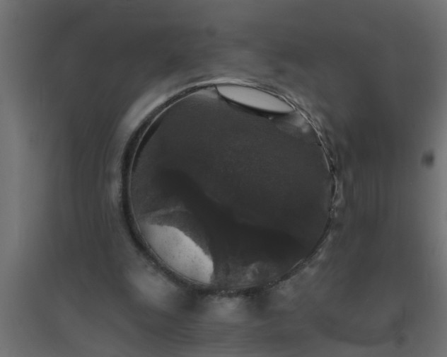 X0000094810247200711241452