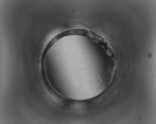 X0000094810248200711241452