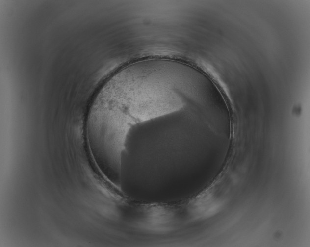 X0000094810249200711241452