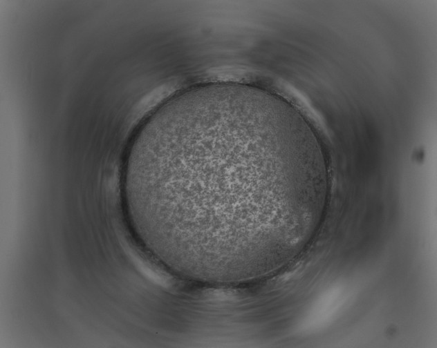 X0000094810250200711241452