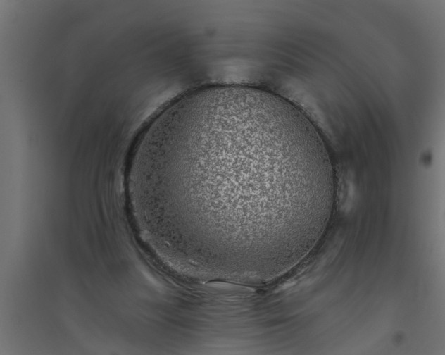 X0000094810251200711241452