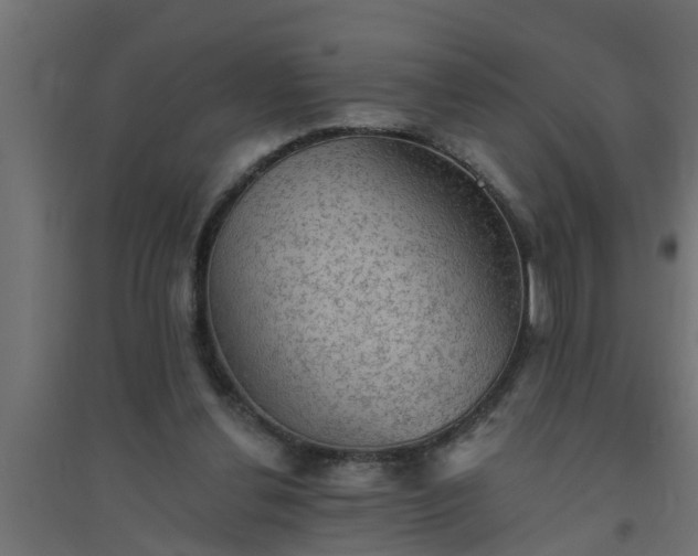 X0000094810252200711241452