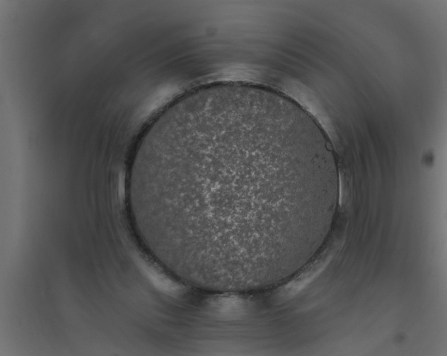 X0000094810253200711241452