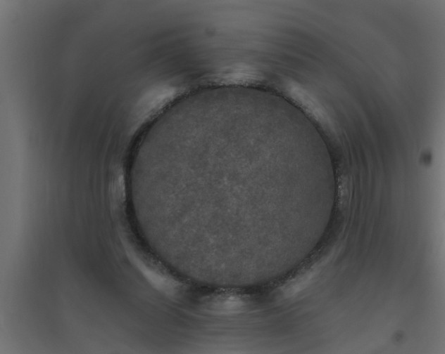 X0000094810254200711241452