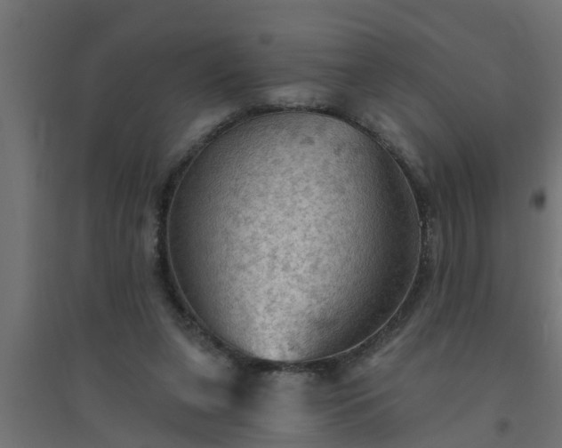 X0000094810255200711241452