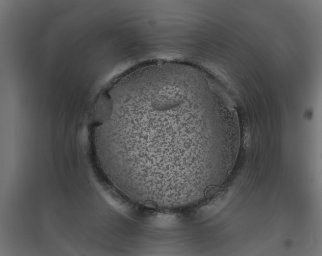 X0000094810256200711241452