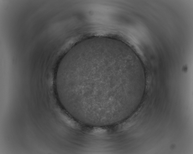 X0000094810257200711241452