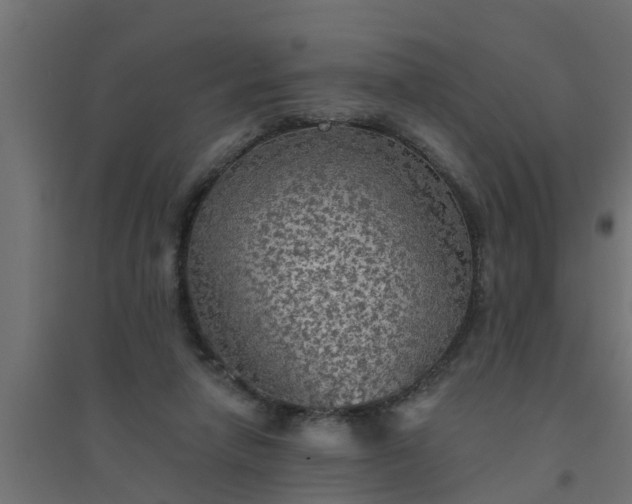 X0000094810258200711241452