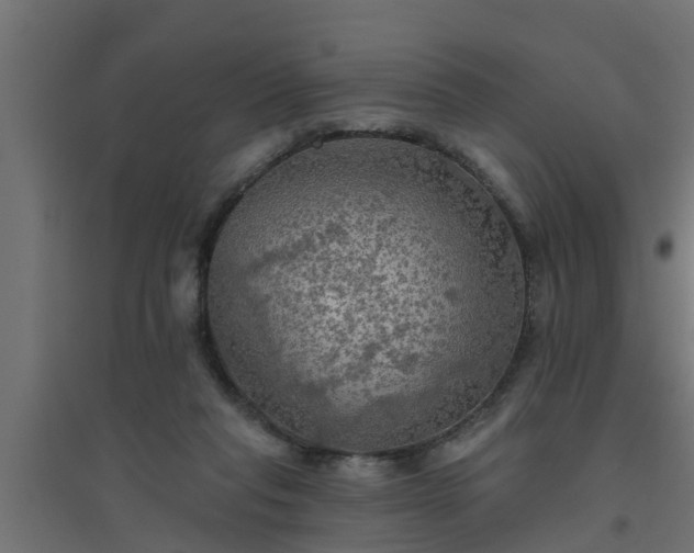 X0000094810261200711241452