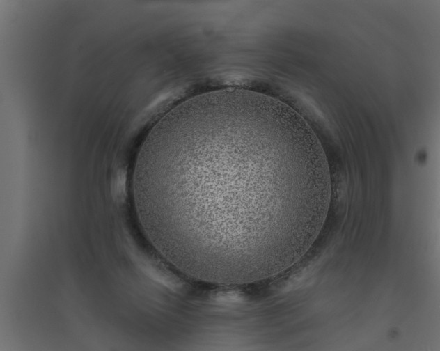 X0000094810262200711241452