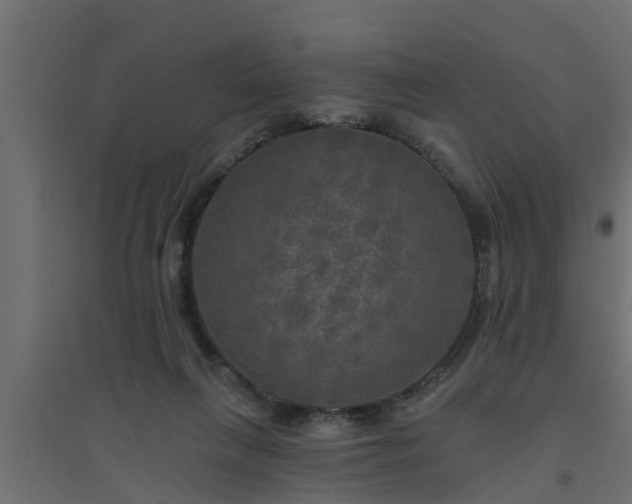 X0000094810263200711241452