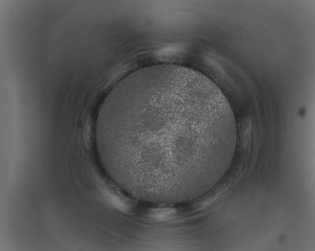 X0000094810266200711241452