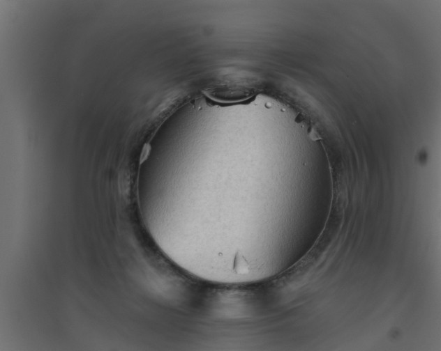 X0000094810268200711241452