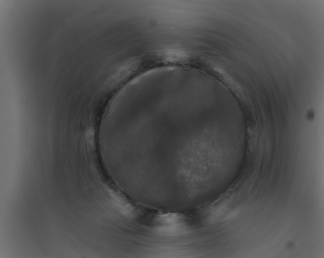 X0000094810269200711241452