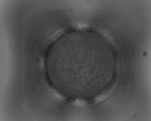 X0000094810270200711241452