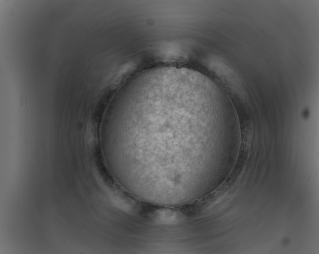 X0000094810272200711241452