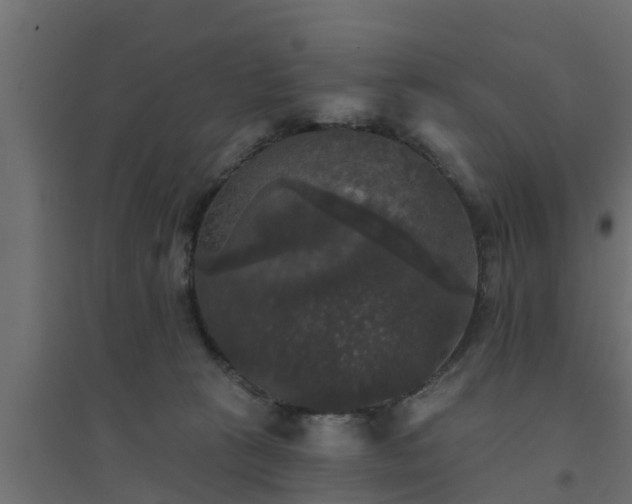 X0000094810273200711241452