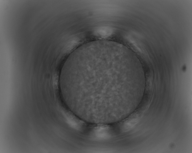 X0000094810274200711241452