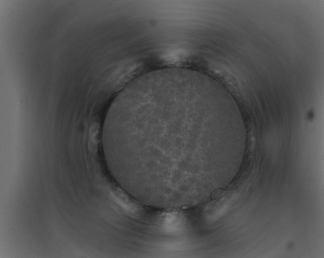 X0000094810275200711241452