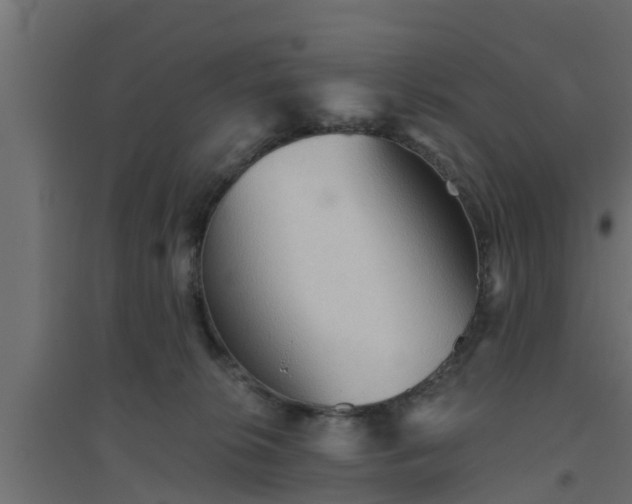 X0000094810276200711241452