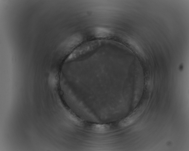 X0000094810277200711241452