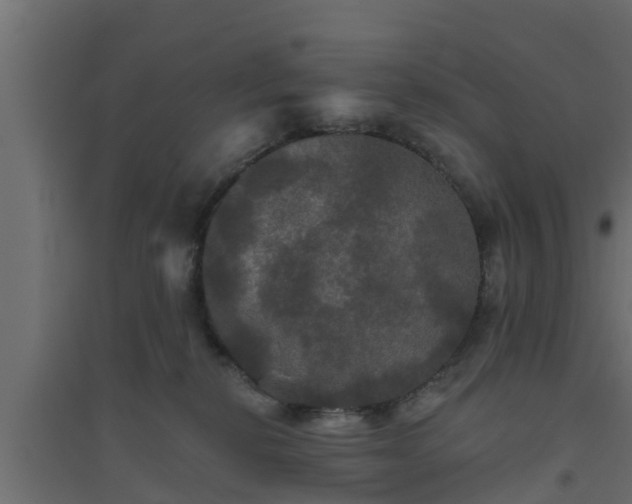 X0000094810278200711241452