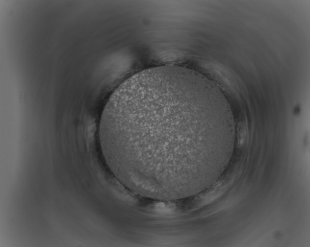 X0000094810279200711241452