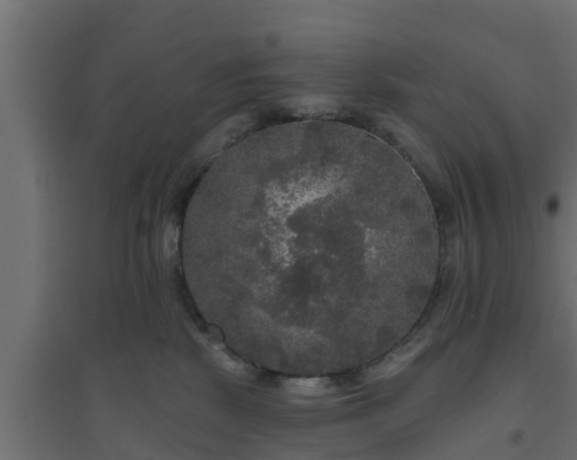 X0000094810281200711241452