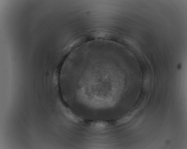 X0000094810282200711241452