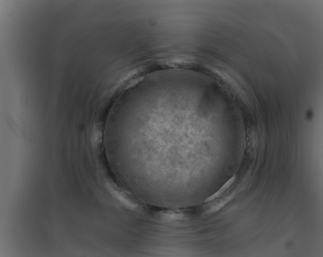 X0000094810284200711241453