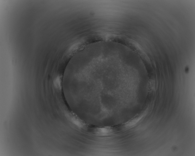 X0000094810286200711241453