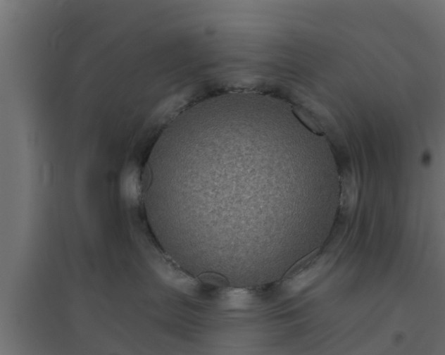 X0000094810287200711241453