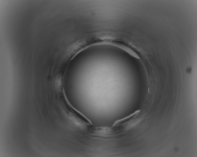 X0000094810288200711241453