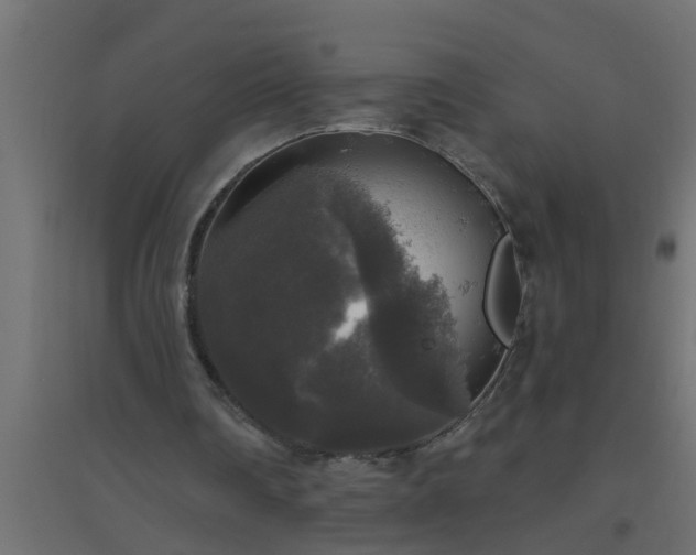 X0000094810290200711241452