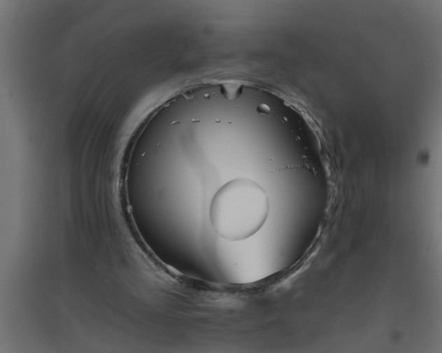 X0000094810293200711241452